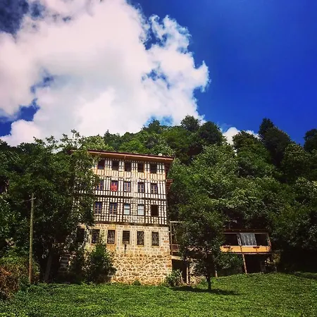 酒店 Huzur Otel&restoran