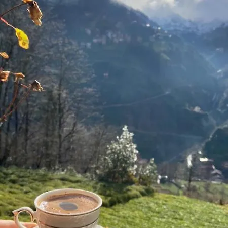 Huzur Otel&restoran 酒店 Çamlıhemşin